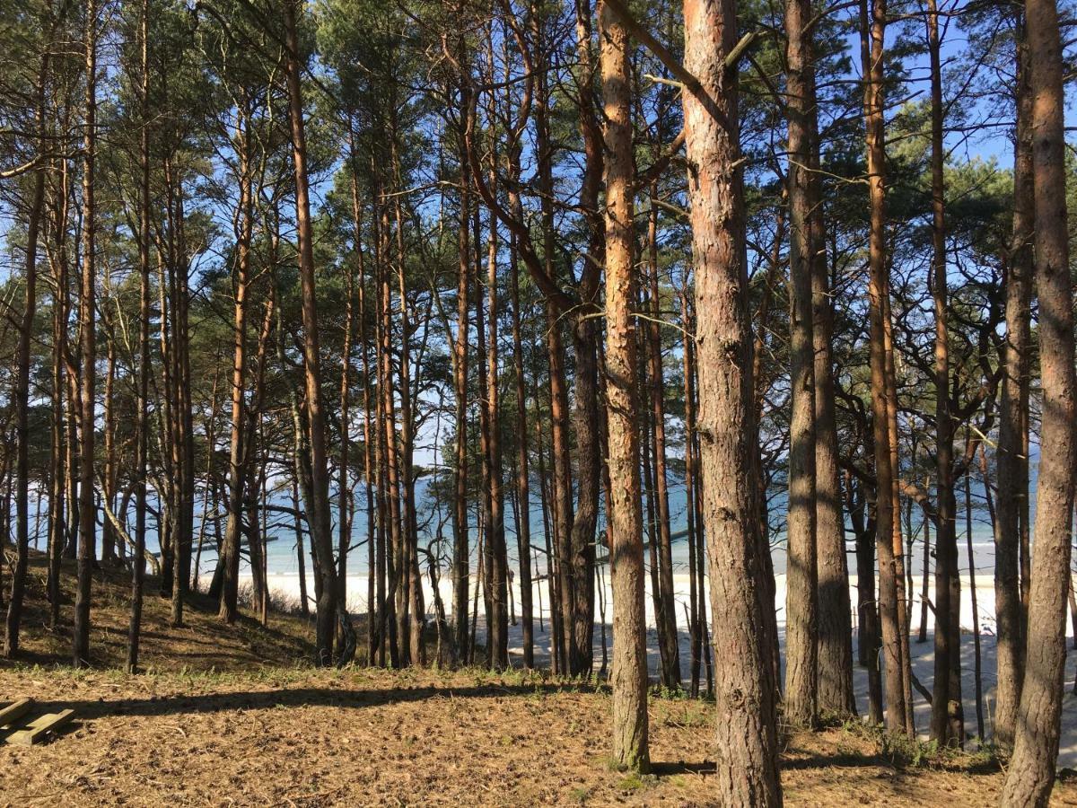 Domki Magnolia Dźwirzyno Exterior foto